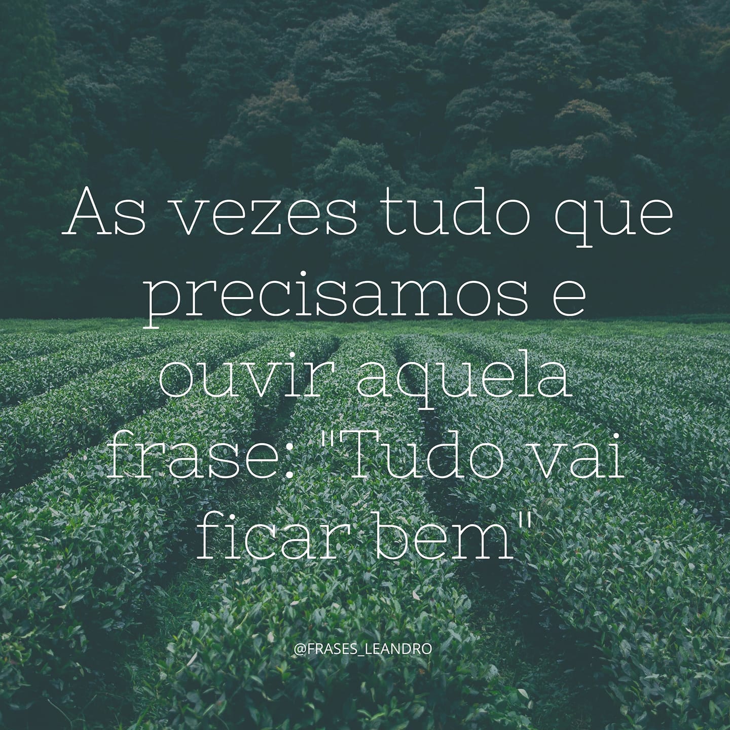 Frase de motivação: Tudo vai ficar bem