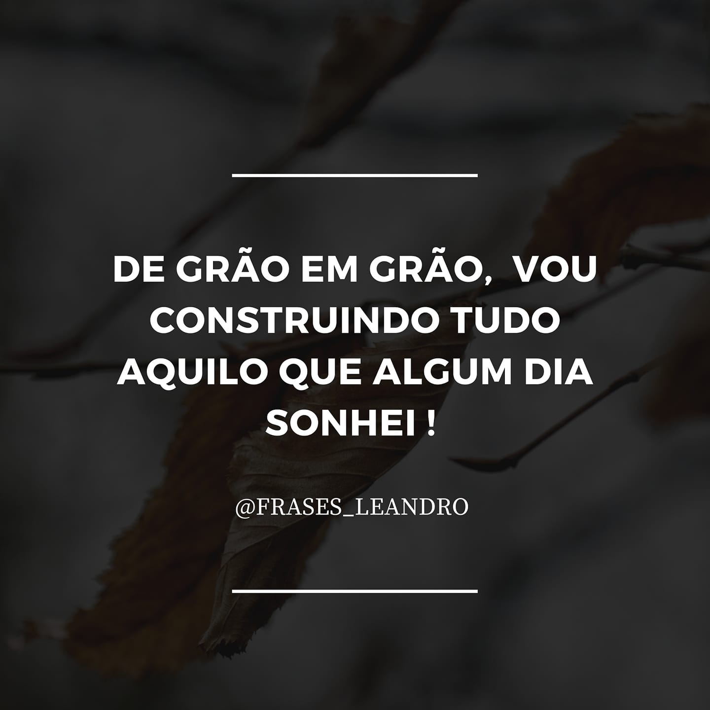 De grão em grão frase