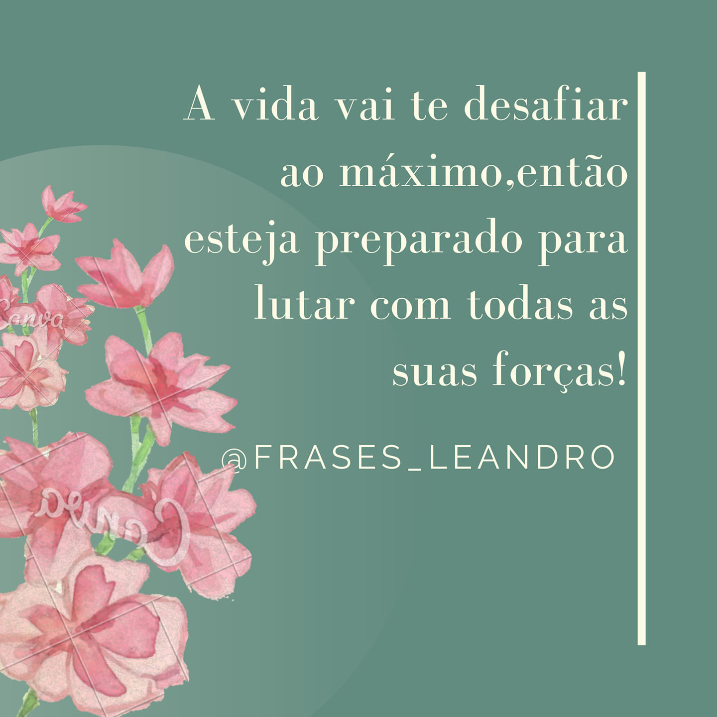 A vida vai te desafiar ao máximo, então esteja preparado para lutar com todas as suas forças 